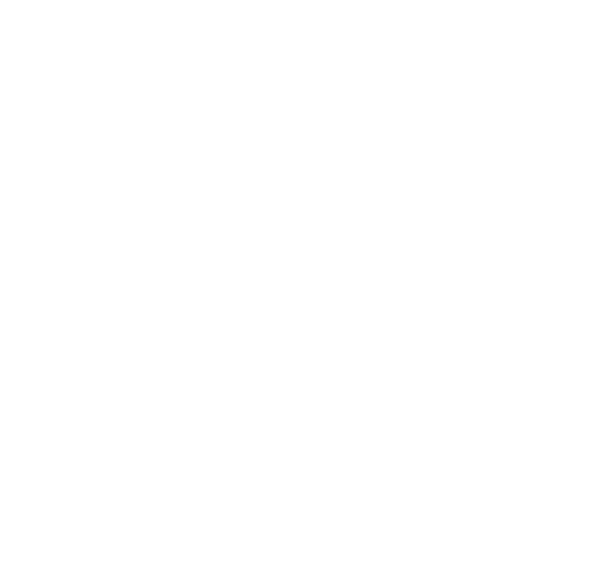Brodie CPA Logo